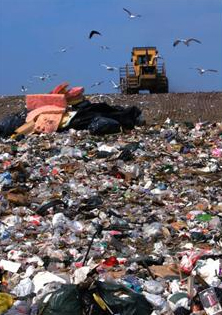 celebrate-green-landfill-12